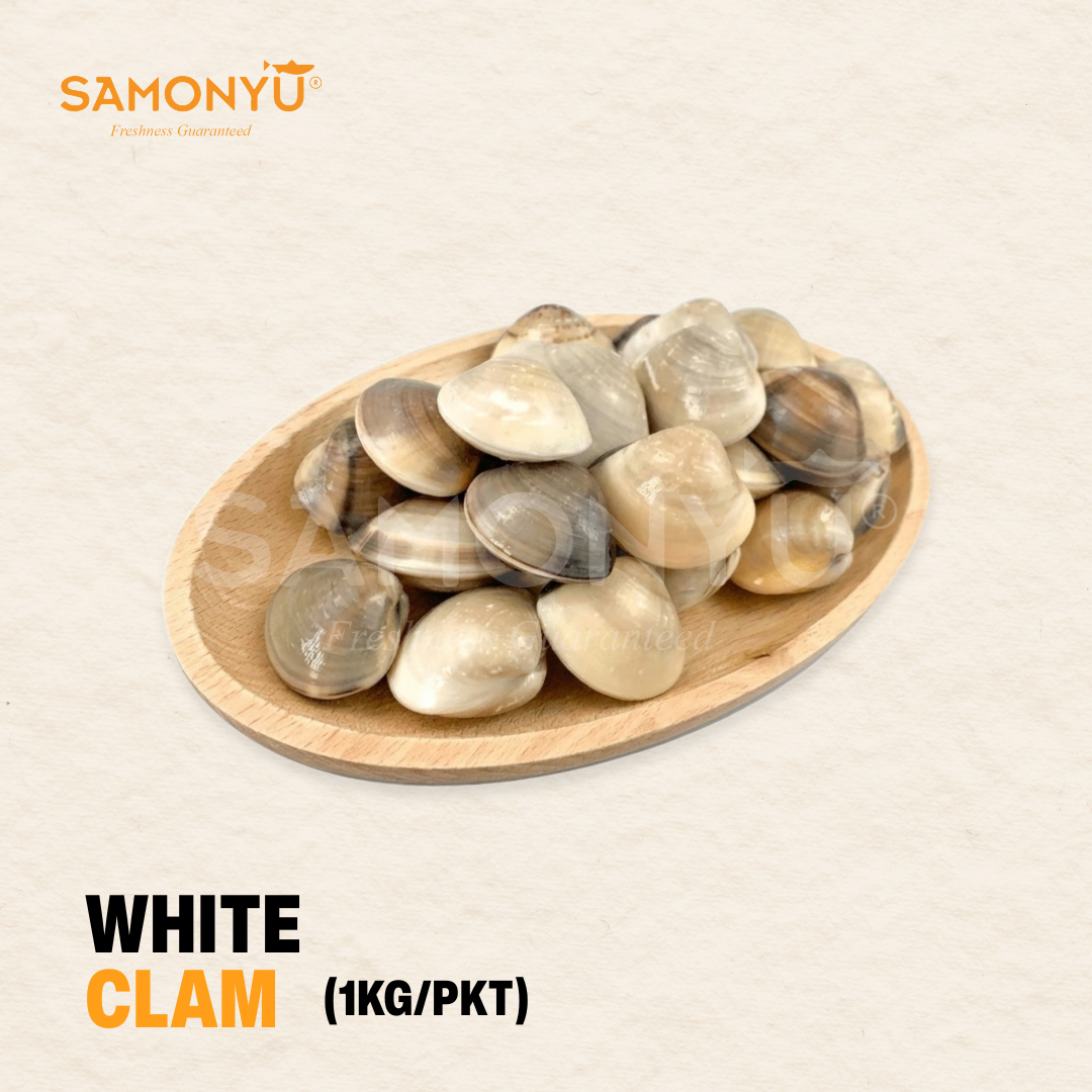 White Clam 白蛤 (1kg ±)