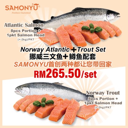 Air Flown Atlantic Salmon & Trout  16 Pcs 空运挪威三文鱼组合装  (+-4-5KG) MIX