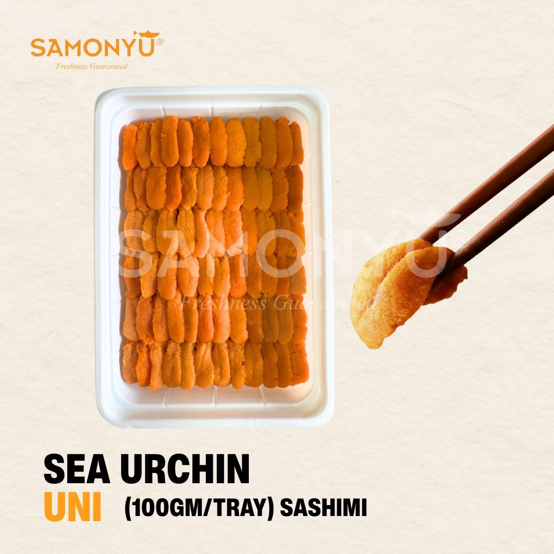 [SAMONYU] Sea Urchin 海胆