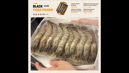 Black Tiger Prawn 老虎虾 21/25