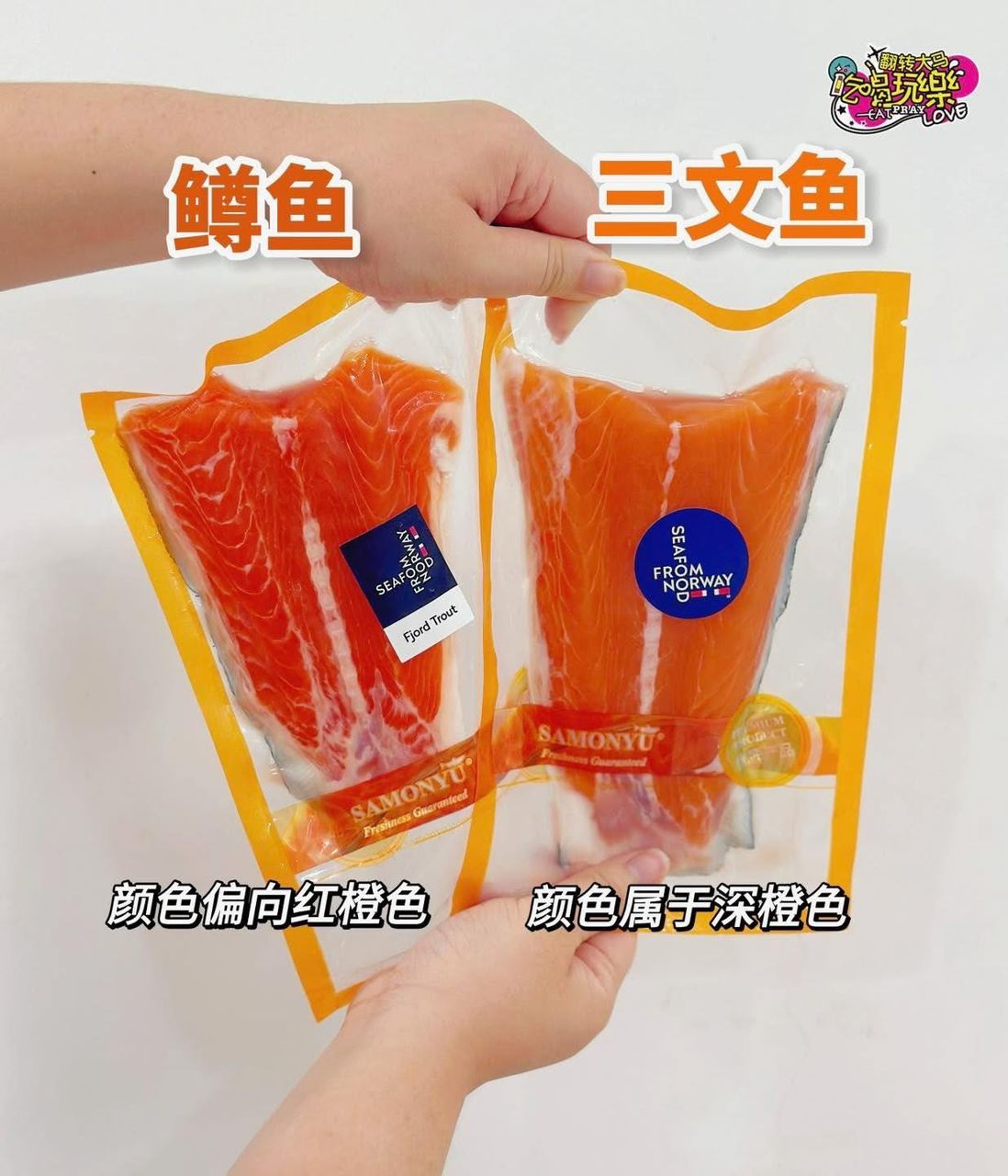 Air Flown Atlantic Salmon & Trout  16 Pcs 空运挪威三文鱼组合装  (+-4-5KG) MIX