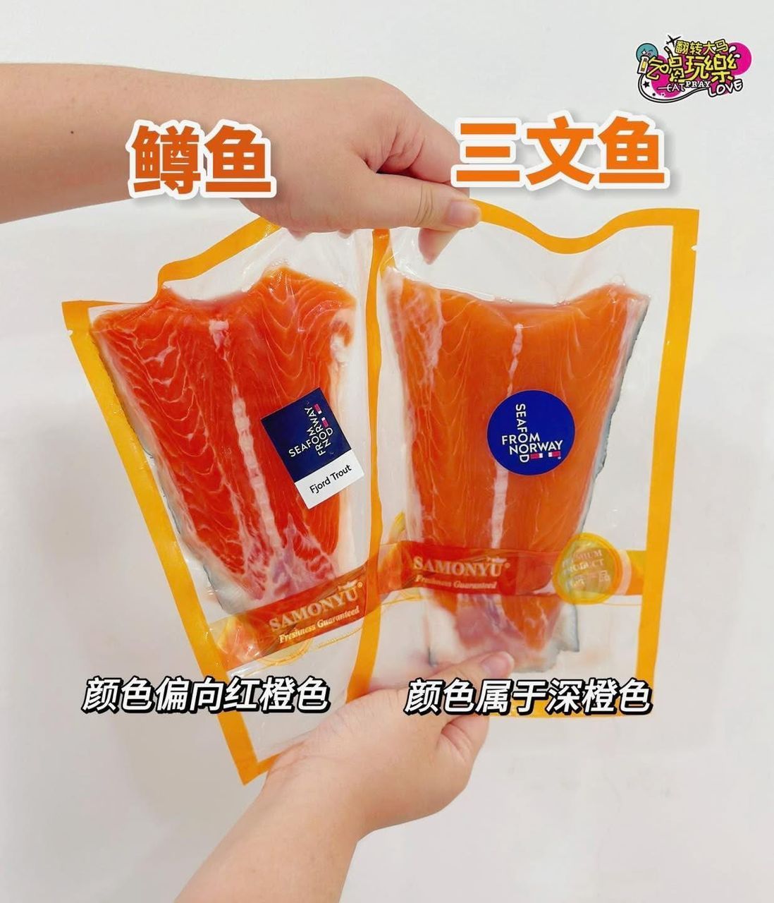 Air Flown Atlantic Salmon & Trout  16 Pcs 空运挪威三文鱼组合装  (+-4-5KG) MIX