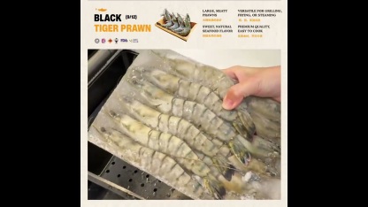 Jumbo Black Tiger Prawn 老虎虾 9/12