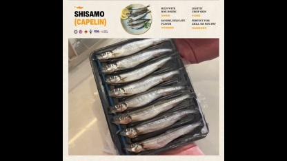 [SAMONYU] Shisamo 多春鱼