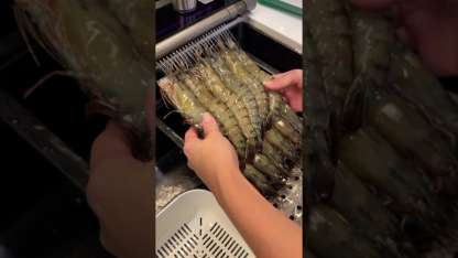 Jumbo Black Tiger Prawn 老虎虾 ~ 9/12