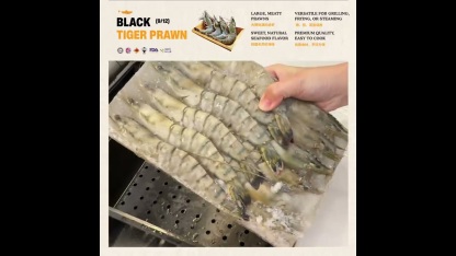 Jumbo Black Tiger Prawn 老虎虾 9/12