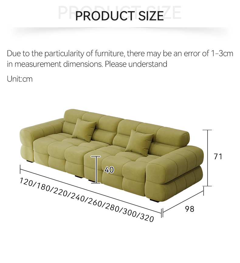 [Pre-order] New Modern Luxury Living Room Furniture Set Adult Lounge Lazy Two Seat Living Room Sofa Modern Furniture Living Room Sofa-Smart-Living