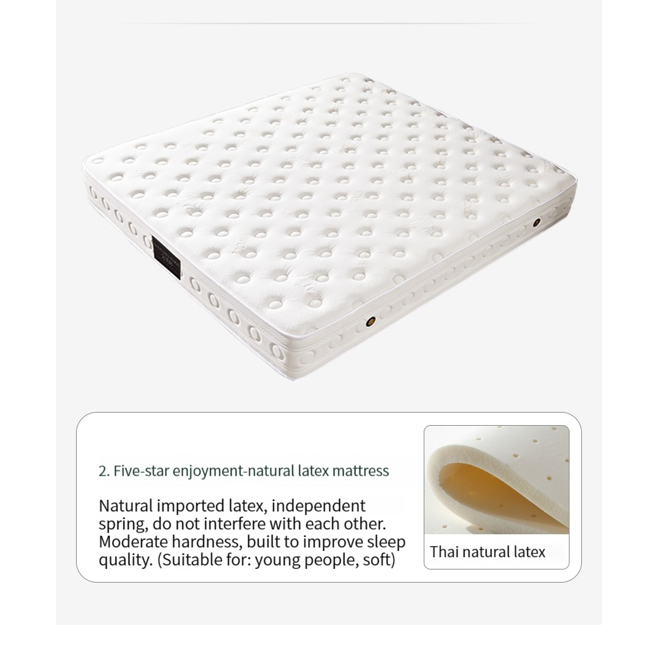 [Pre-order]  Warner's Modern Minimalist Japanese Solid Wood Bed (2023 New Style) - For Small Master Bedrooms | Bunk bed | Loft bed-Smart-Living