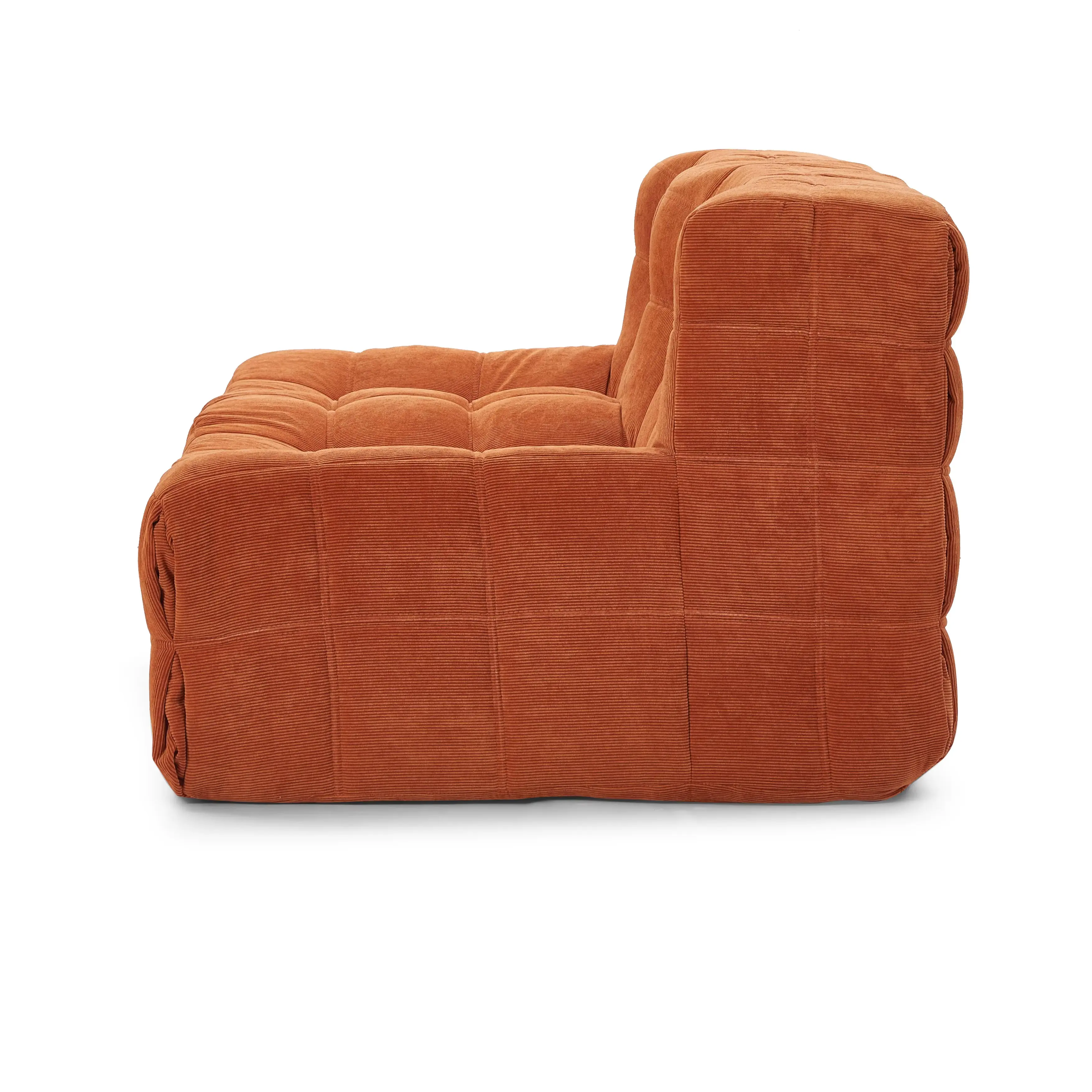 Modern Luxury SingleTatami in Stylish Sofa Bed