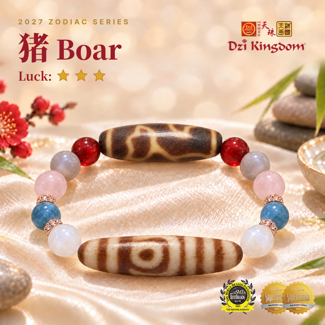 【Powerful Edition】2027 Zodiac Boar Combo Dzi Bracelet