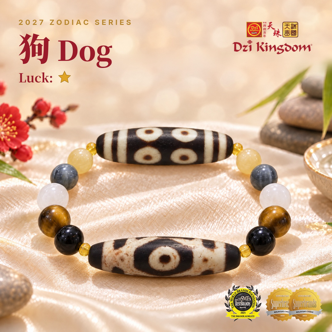 【Powerful Edition】2027 Zodiac Dog Combo Dzi Bracelet
