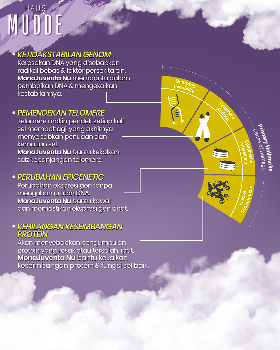 MUDDE - GLO12 BEAUTY SHOT