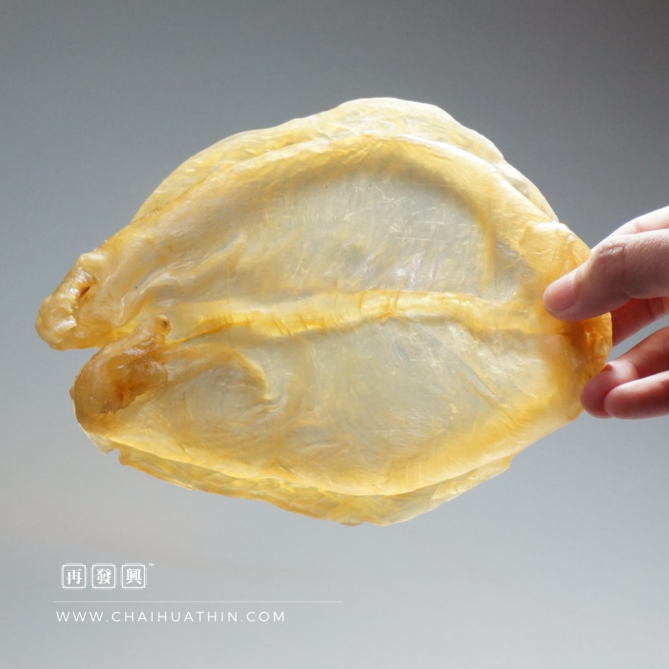 Nile Perch Fish Maw 黄花胶 (鴨泡肚)