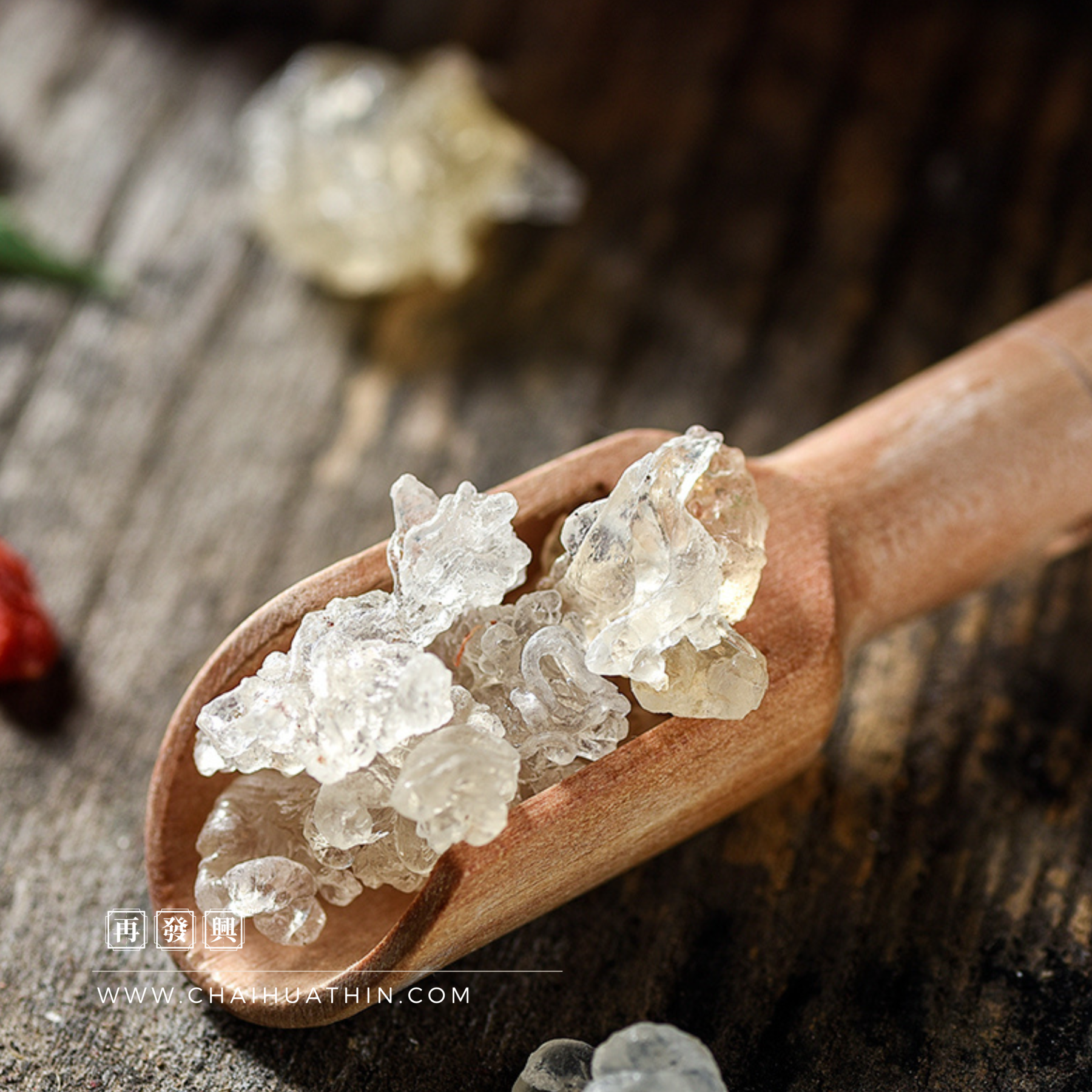 Xue Yan Gum Tragacanth 雪燕 100g