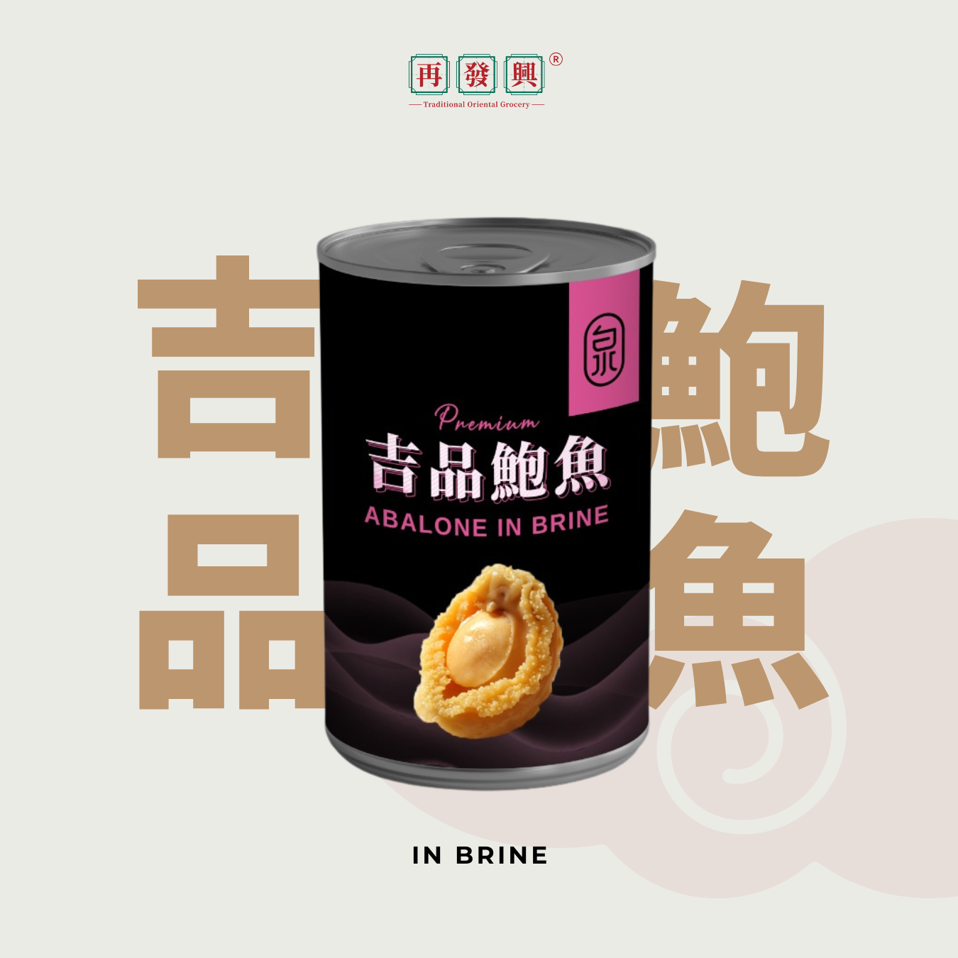 CHH 10pcs Premium Abalone in Brine 10头清水吉品鲍鱼
