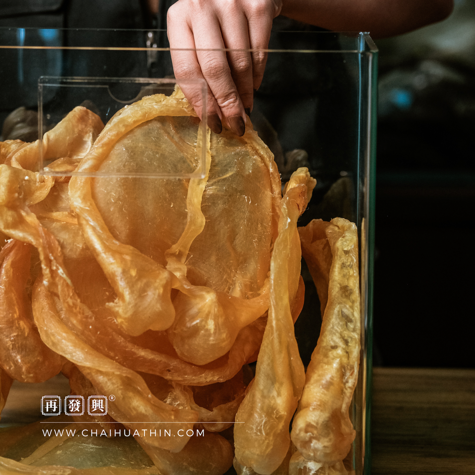 Nile Perch Fish Maw 黄花胶 (鴨泡肚)