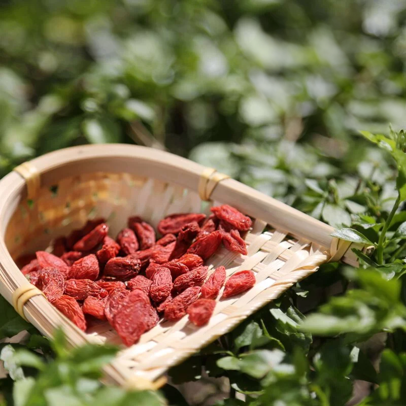 CHH Premium Big Goji Berry 特级无硫大贡枸杞 500g