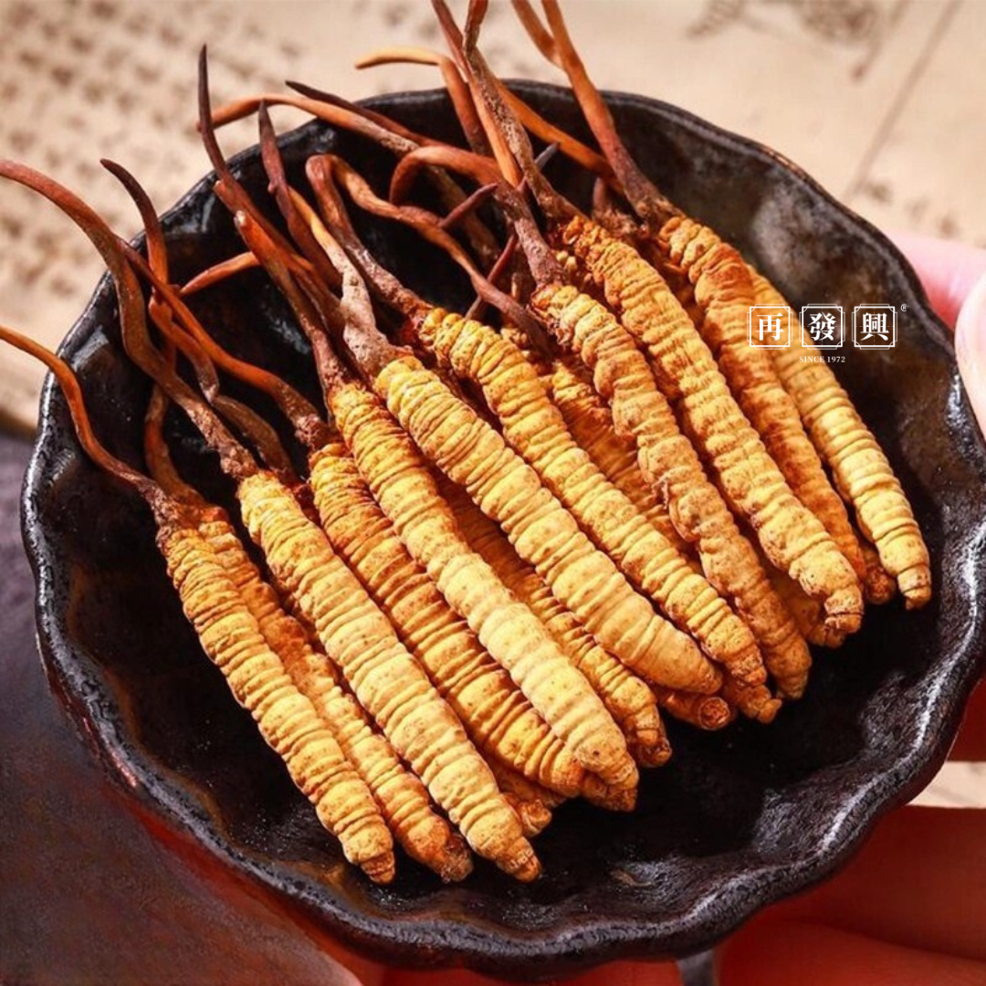 Tibet Cordyceps Sinensis 西藏冬虫夏草 5g