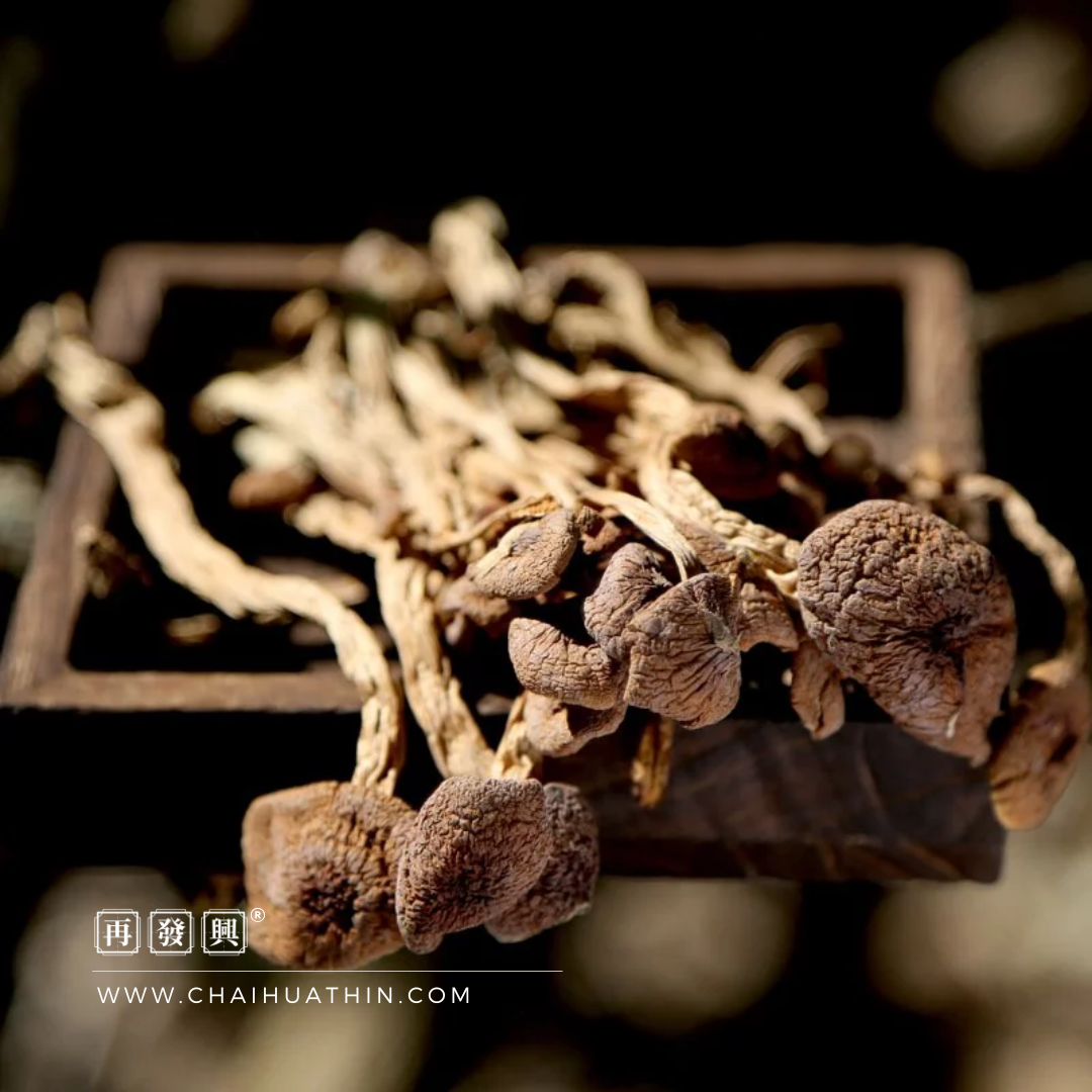 Dried Cha Shu Gu Mushroom 茶树菇