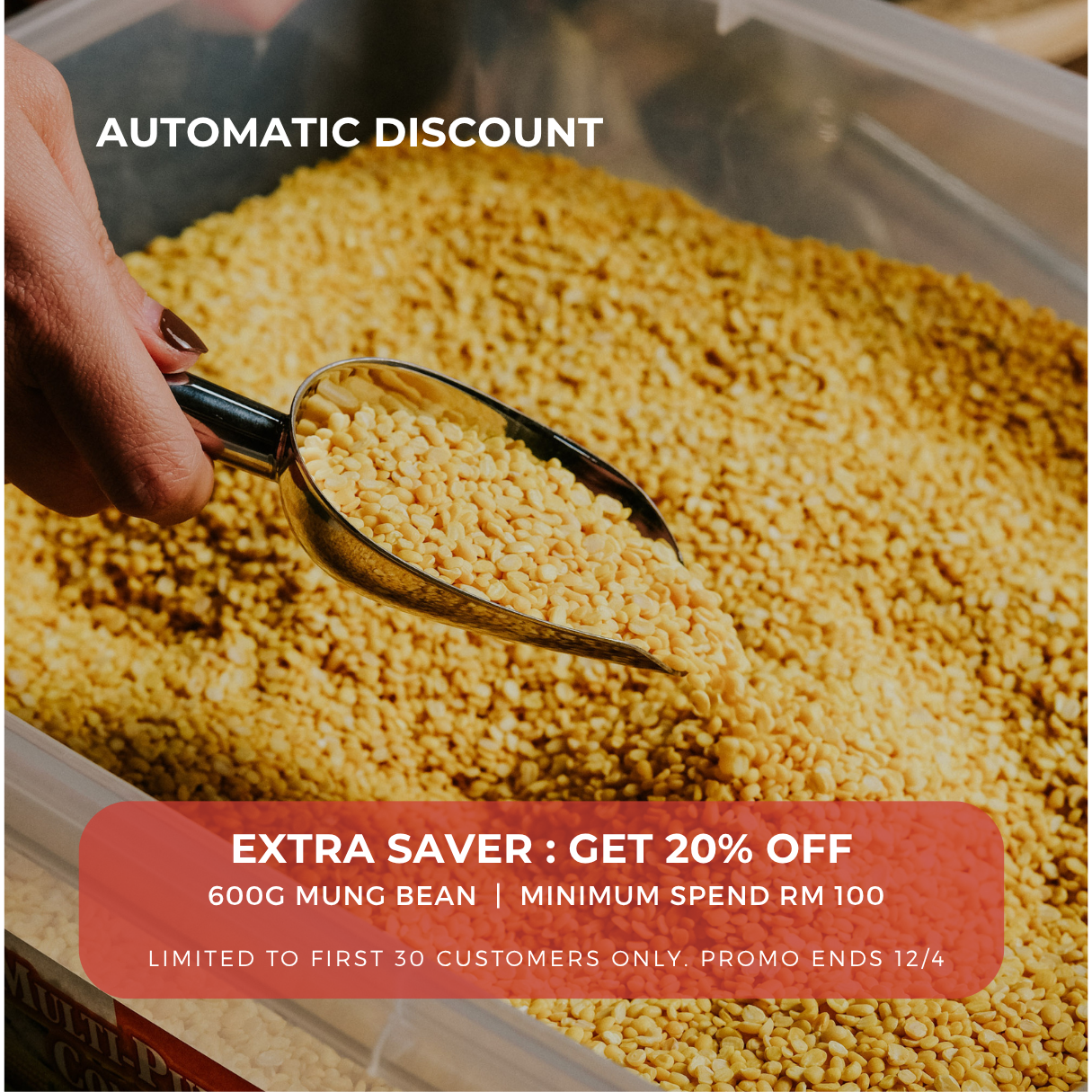 Mung Bean / Green Bean Spilt 绿豆片