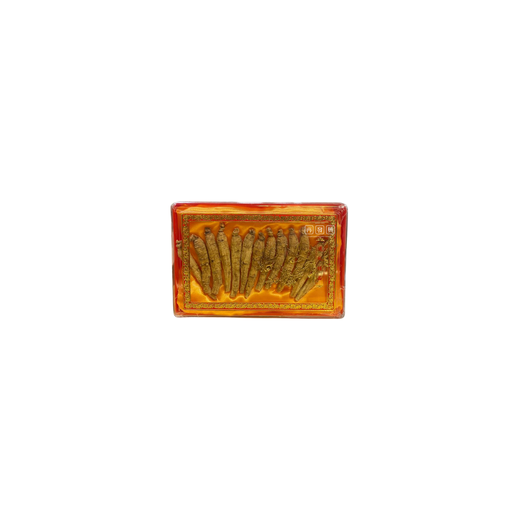 加拿大泡参 Canadian Ginseng