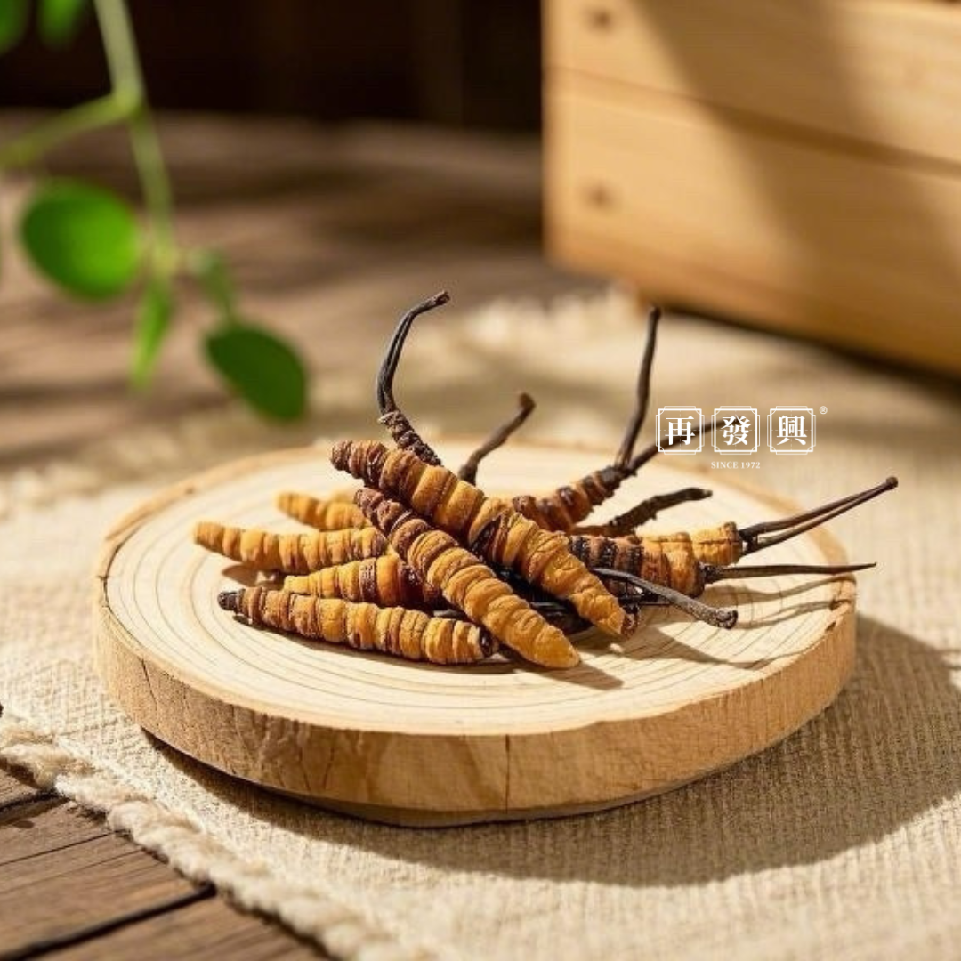 Cordyceps Sinensis 冬虫夏草 18g