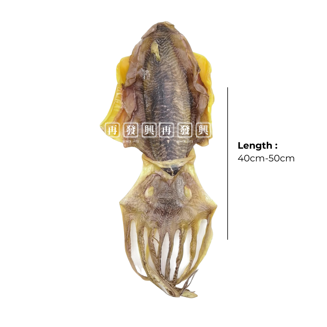 Dried Big Cuttlefish 特大墨鱼 1pc