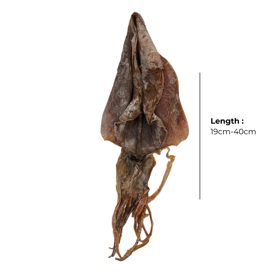 Dried Cuttlefish (Wong Kai Nong) 黄鸡仑  (海底鸡-煲汤专用-甜)