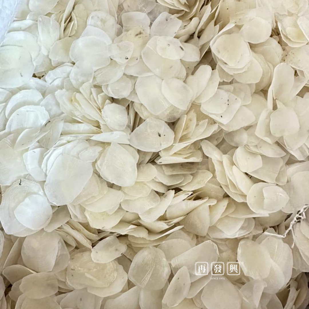 Marine Collage 深海鱼鳞片 500g