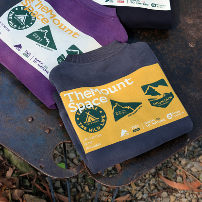 童裝男童加絨衛衣2025冬季新款兒童圓領衛衣中大童休閒上衣