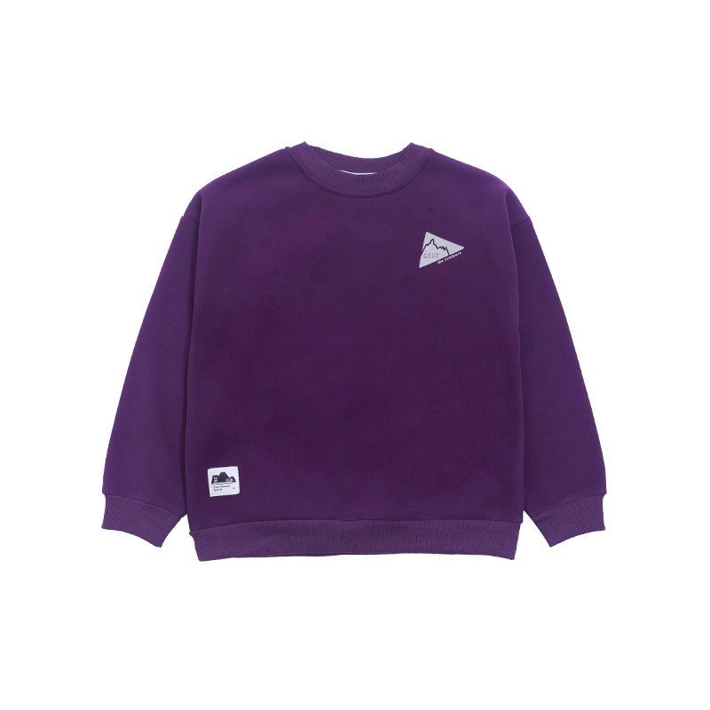 童裝男童加絨衛衣2025冬季新款兒童圓領衛衣中大童休閒上衣