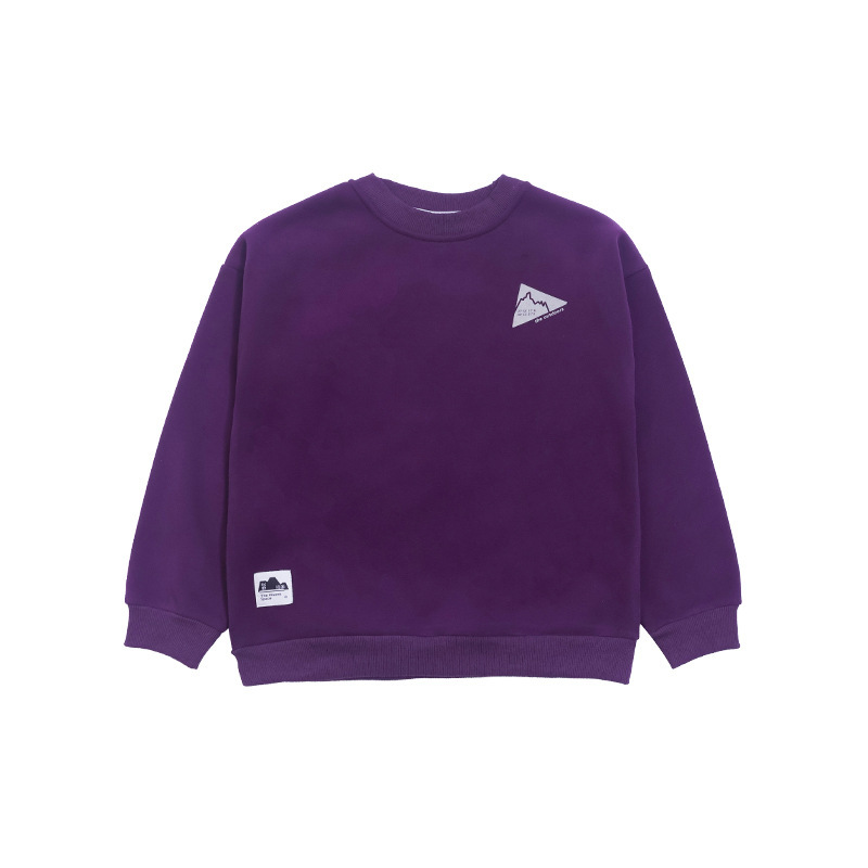 童裝男童加絨衛衣2025冬季新款兒童圓領衛衣中大童休閒上衣