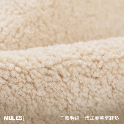 毛毛拖鞋男外穿2025新款厚底包跟居家棉拖包頭保暖勃肯棉鞋冬