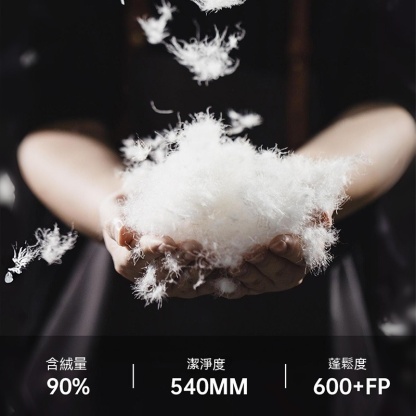 美式休閒立領90白鴨絨羽絨服戶外防風麵包服保暖外套男冬-Retro's Wear