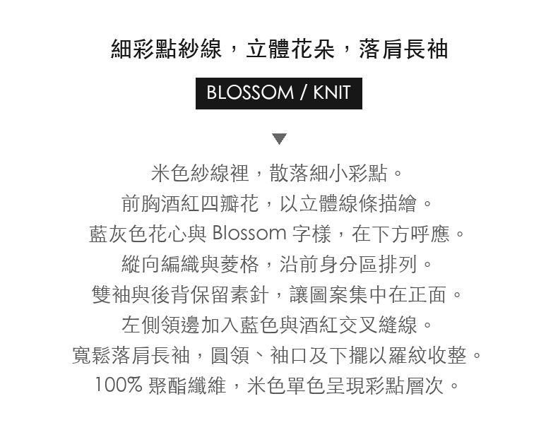 立體花朵彩點寬鬆圓領毛衣 · 03-intro