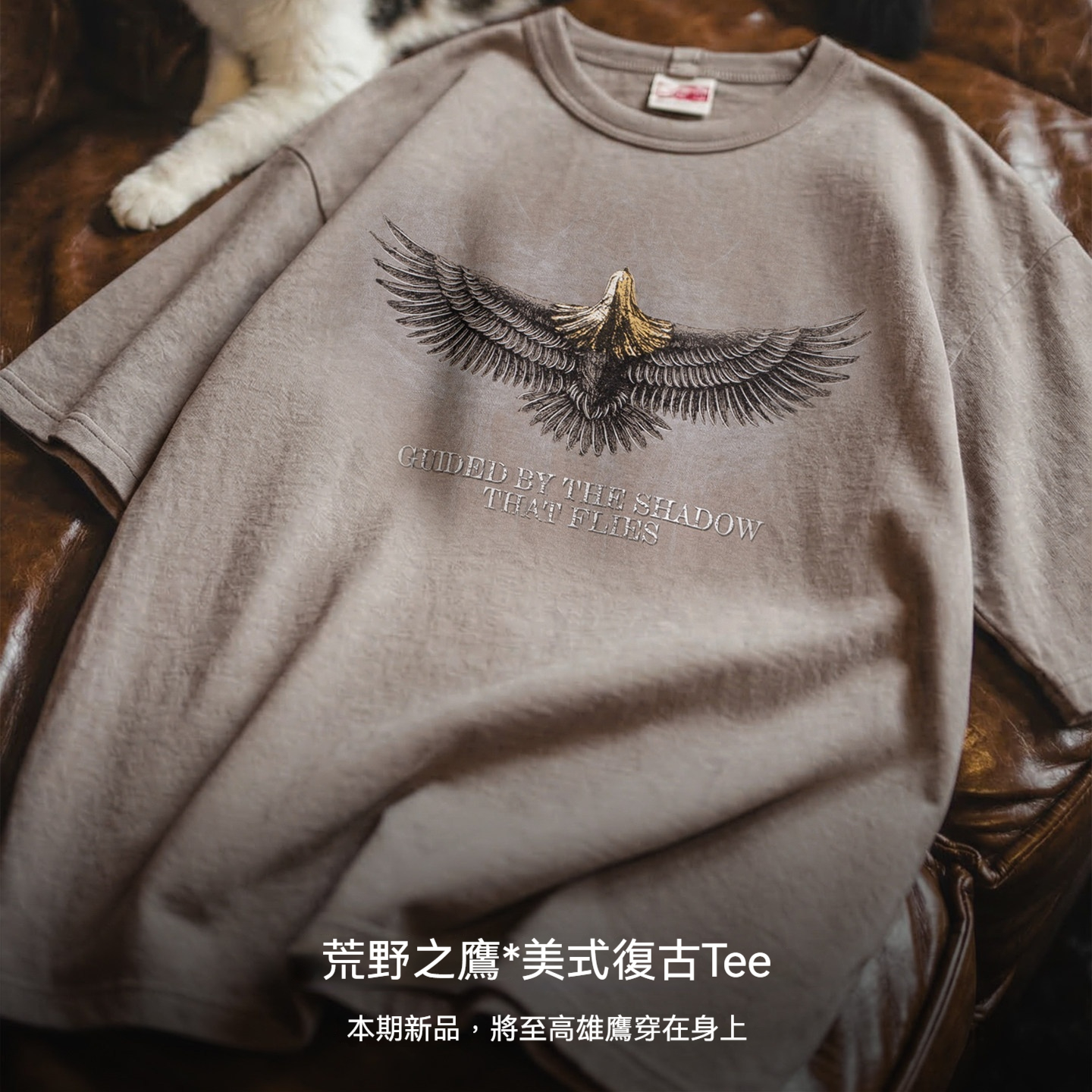 美式復古設計感獵鷹印花短袖圓領純棉t恤痞帥少年感男夏