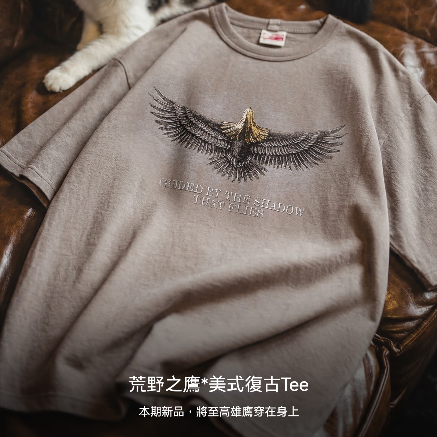 美式復古設計感獵鷹印花短袖圓領純棉t恤痞帥少年感男夏