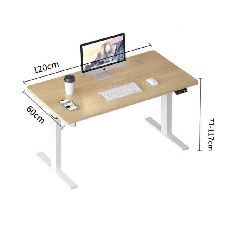 MILLER Height adjustable electric standing desk • smart study table • ergonomic design