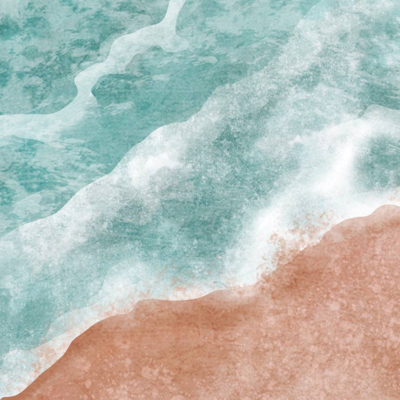 Hard Diatomite Absorbent Mat | Toilet Bathroom Kitchen Dish Drying Mat Hard Japan Quality Nordic Non-Slip