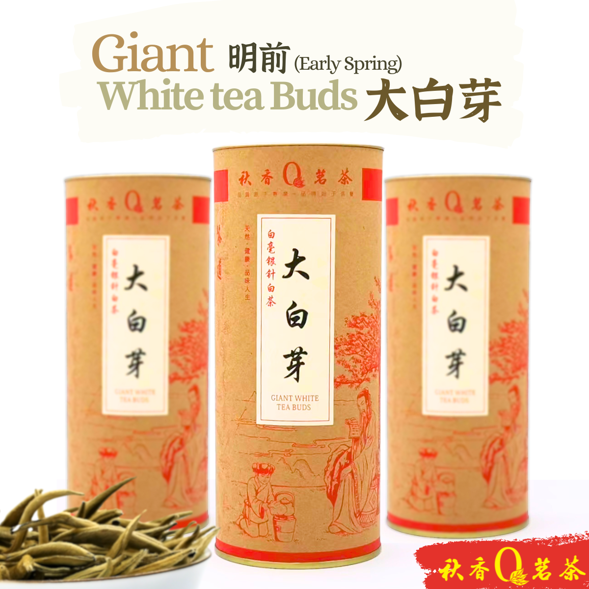 明前大白芽 Giant White tea Buds (Early Spring)【100g】｜【白茶 White tea】