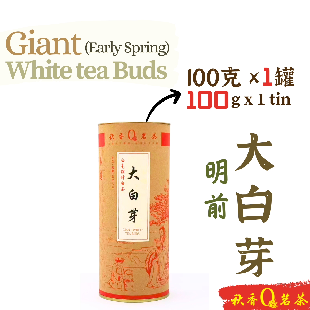 明前大白芽 Giant White tea Buds (Early Spring)【100g】｜【白茶 White tea】