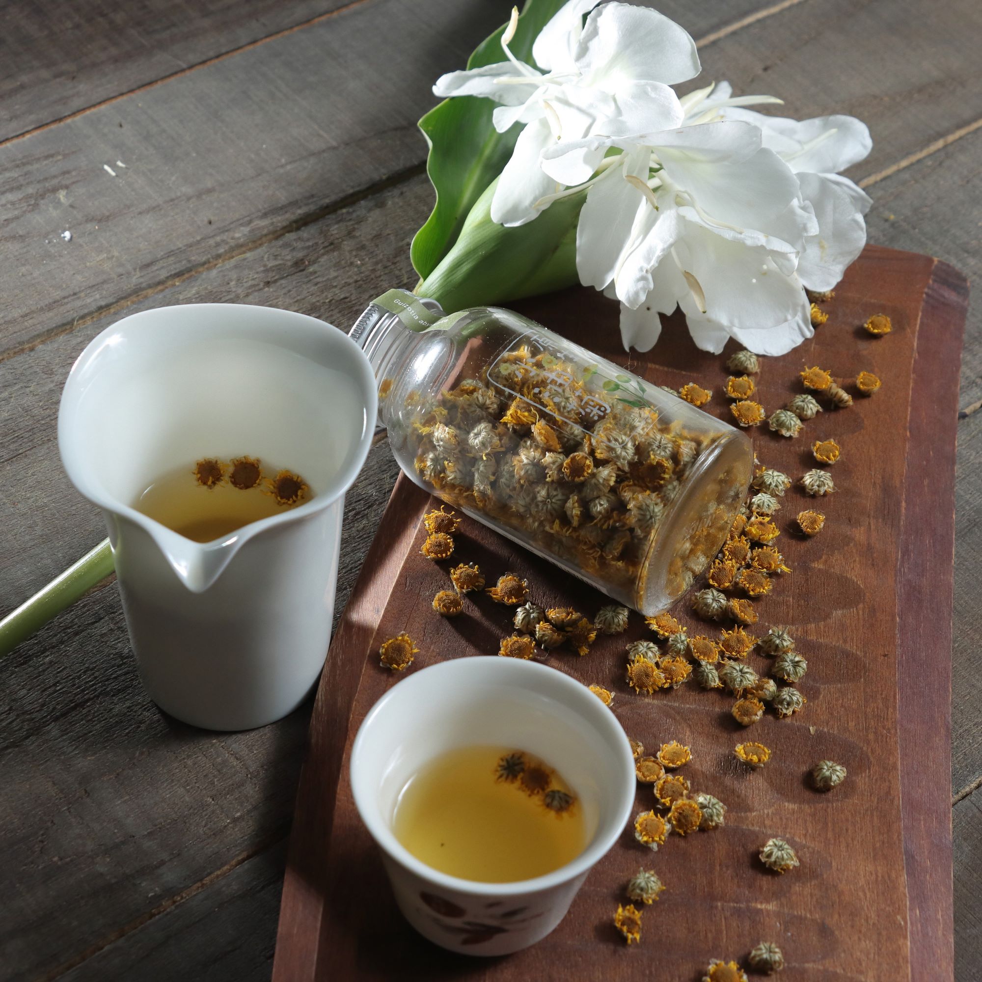 Native Calming Chrysanthemum 花东舒缓小油菊