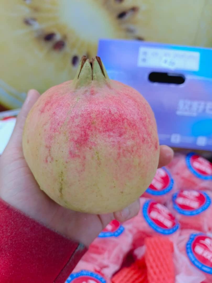 China Soft Seed Pomegranate (Spanish Variety) 