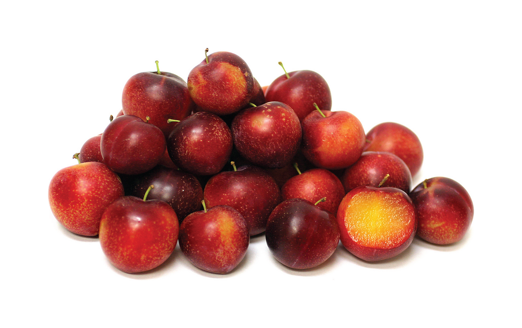 AUS Cherry Plum 500g
