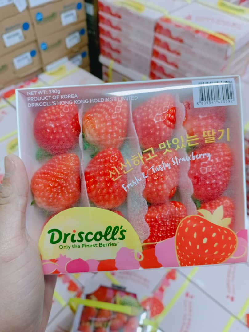 Korea  Driscolls Jumbo Strawberry (1ctn)