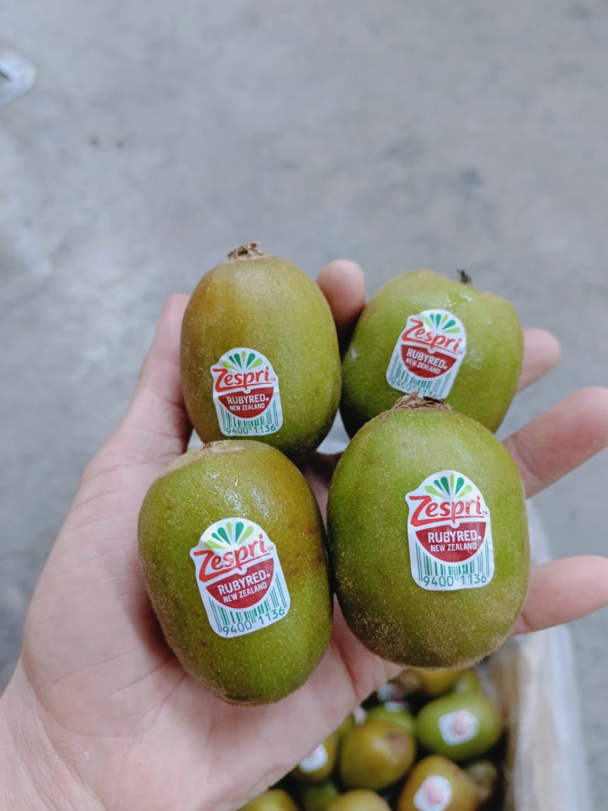 New Zealand Red Kiwi