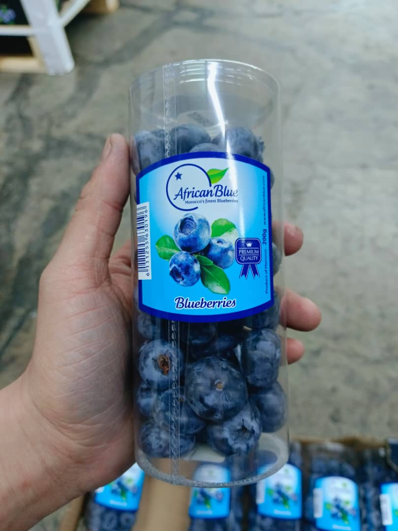 Morocco Blueberries (200g) Tube
