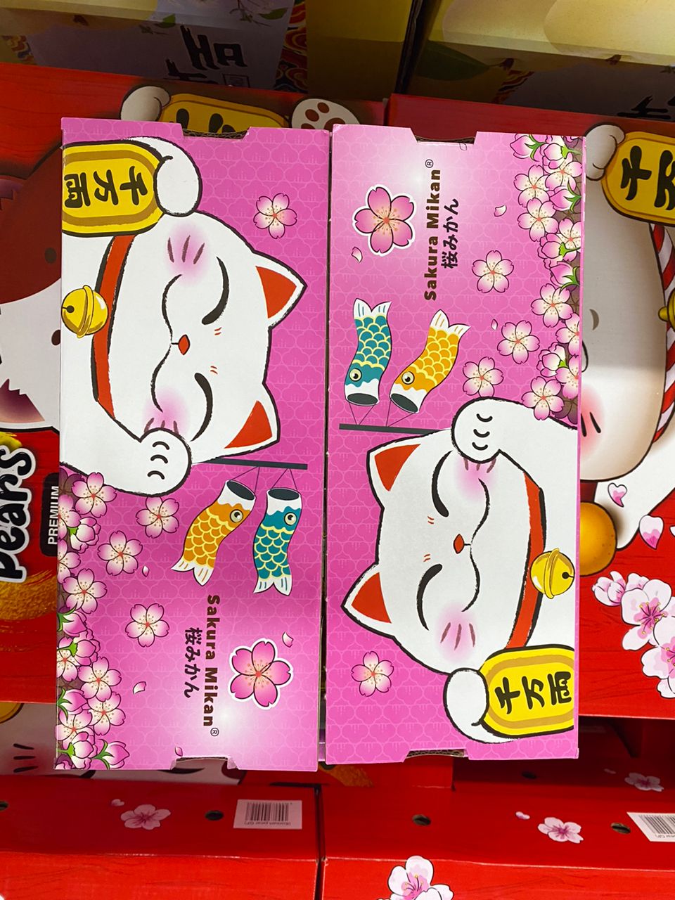 Japan Sakura Mikam Gift Box 4kg XXXL