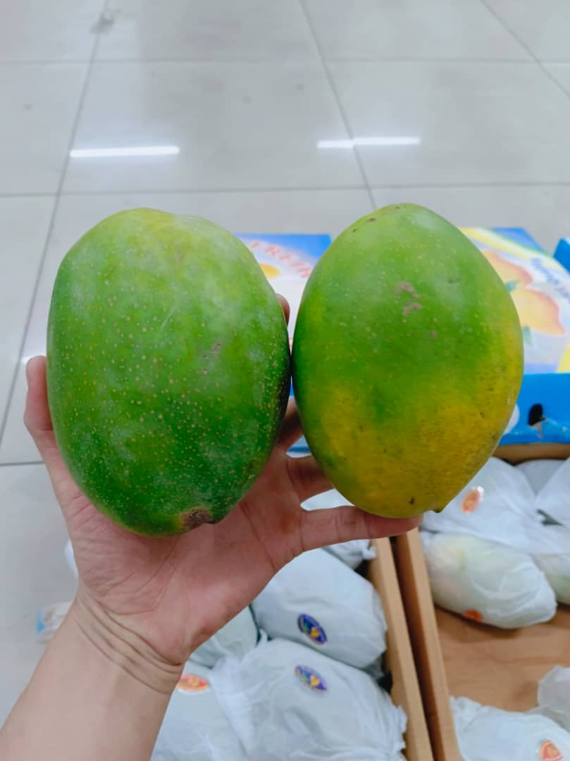 Pakistan Began Phali Mango 1 CTN