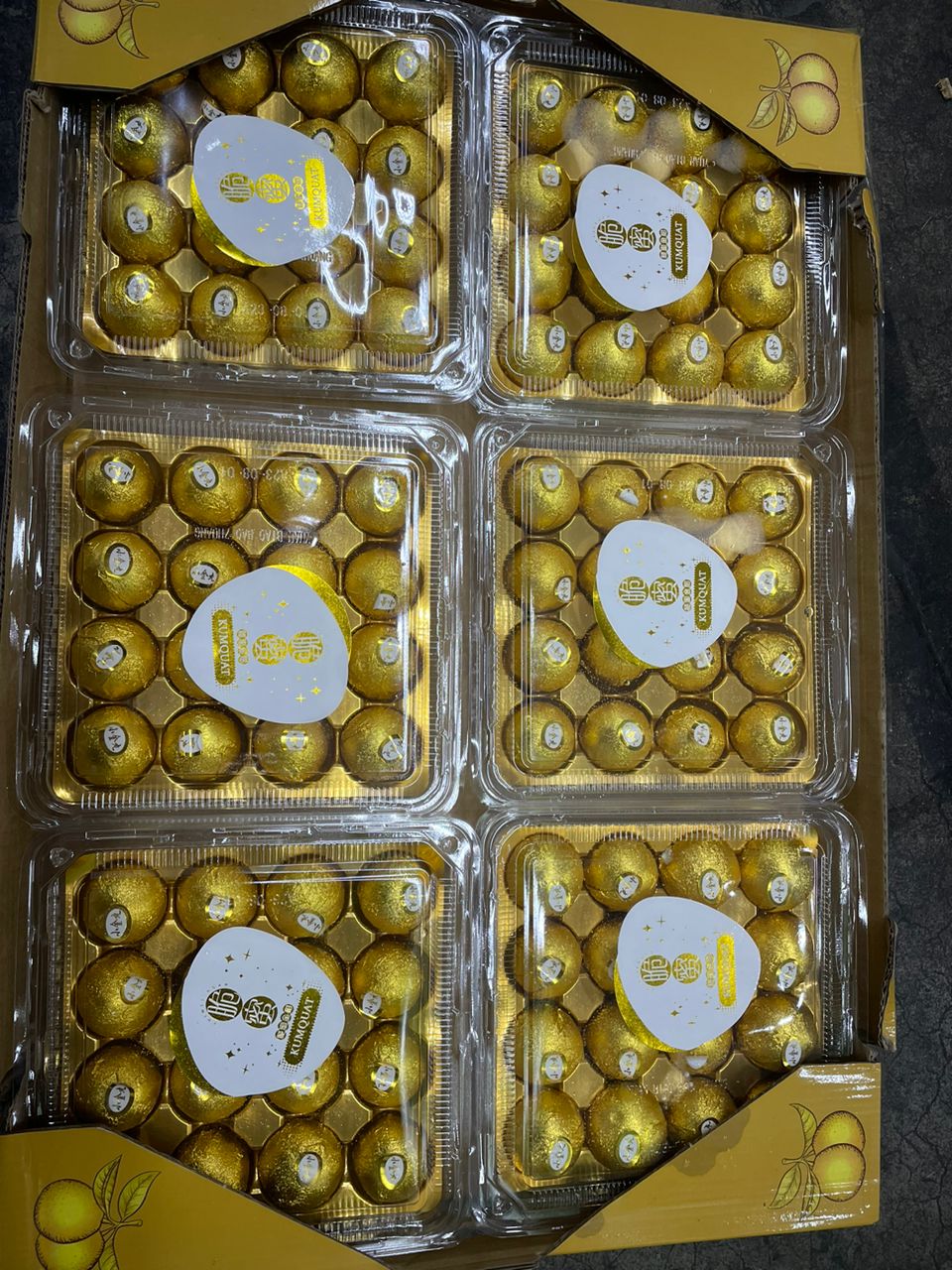 Premium Jumbo  Crispy Golden Kamquat